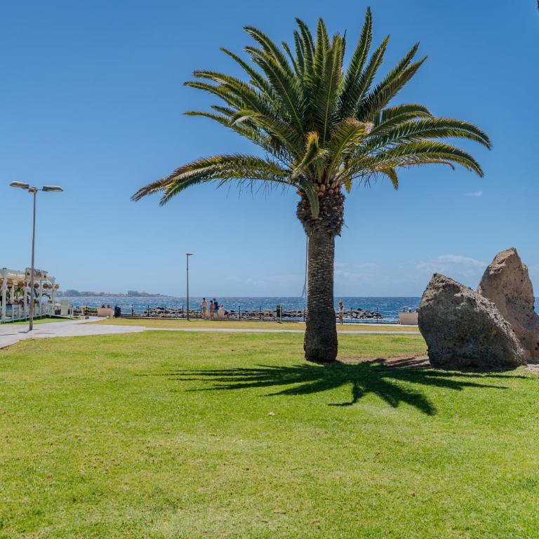 Apartamento con terraza en primera línea El Duque, Altamira - One-Bedroom Apartment - 63