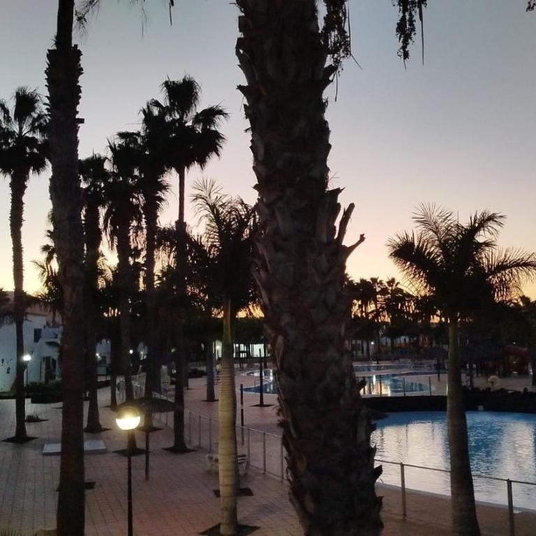 Oasis Duna - Casa Mariposa - Apartamento de 1 dormitorio - 24