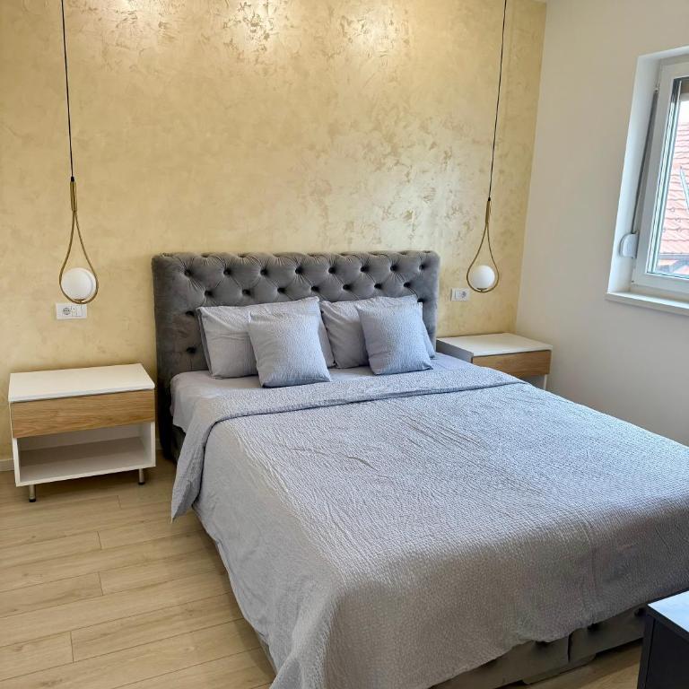 Cvetkovic apartman - Apartman sa 1 Spavaćom Sobom - 5