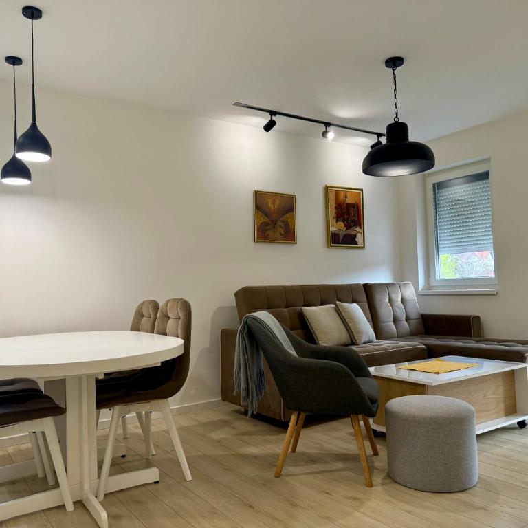 Cvetkovic apartman - Apartman sa 1 Spavaćom Sobom - 7