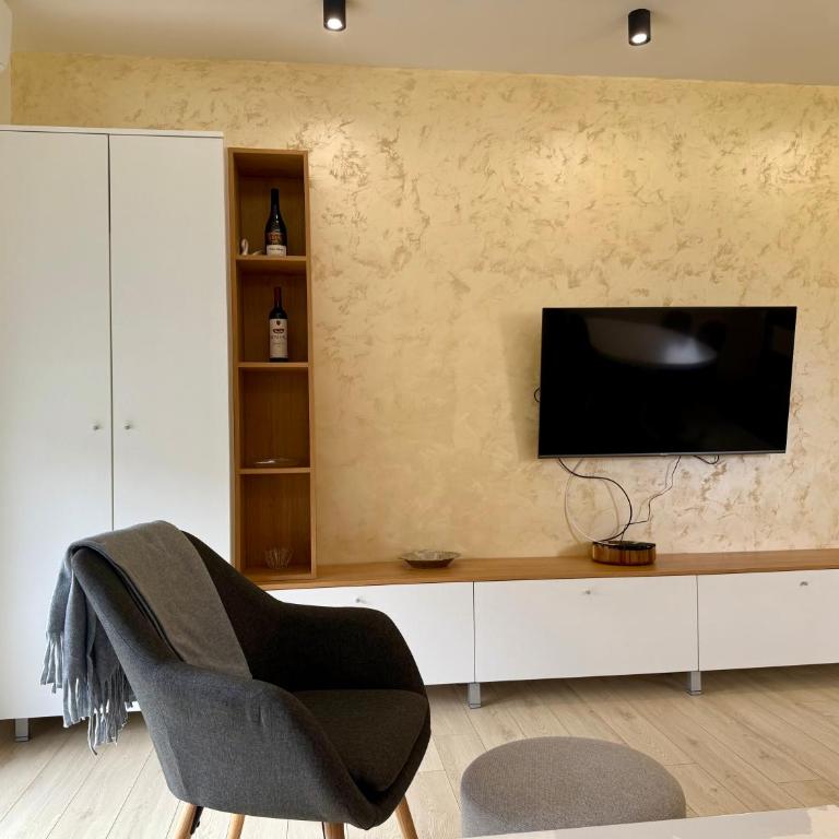 Cvetkovic apartman - Apartman sa 1 Spavaćom Sobom - 8