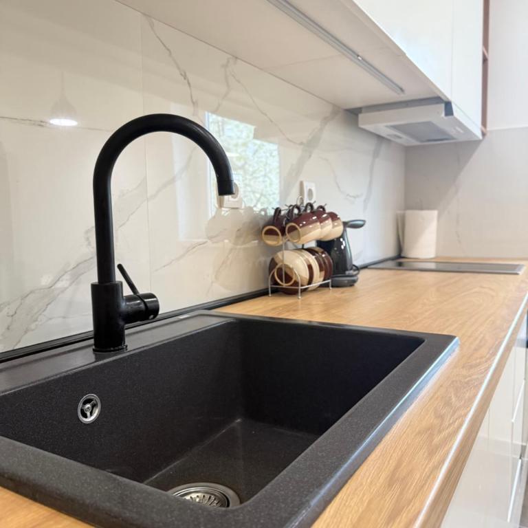Cvetkovic apartman - Apartman sa 1 Spavaćom Sobom - 21