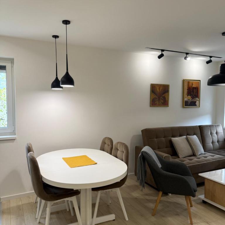 Cvetkovic apartman - Apartman sa 1 Spavaćom Sobom - 24
