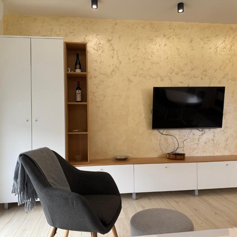 Cvetkovic apartman - Apartman sa 1 Spavaćom Sobom - 37