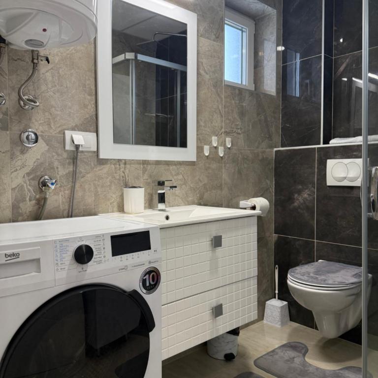 Cvetkovic apartman - Apartman sa 1 Spavaćom Sobom - 43