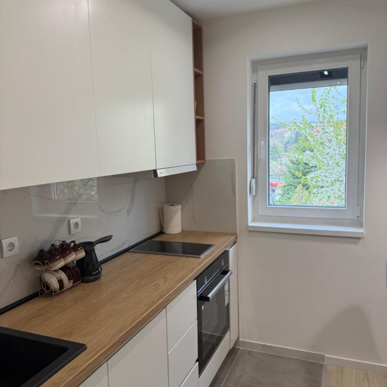 Cvetkovic apartman - Apartman sa 1 Spavaćom Sobom - 67
