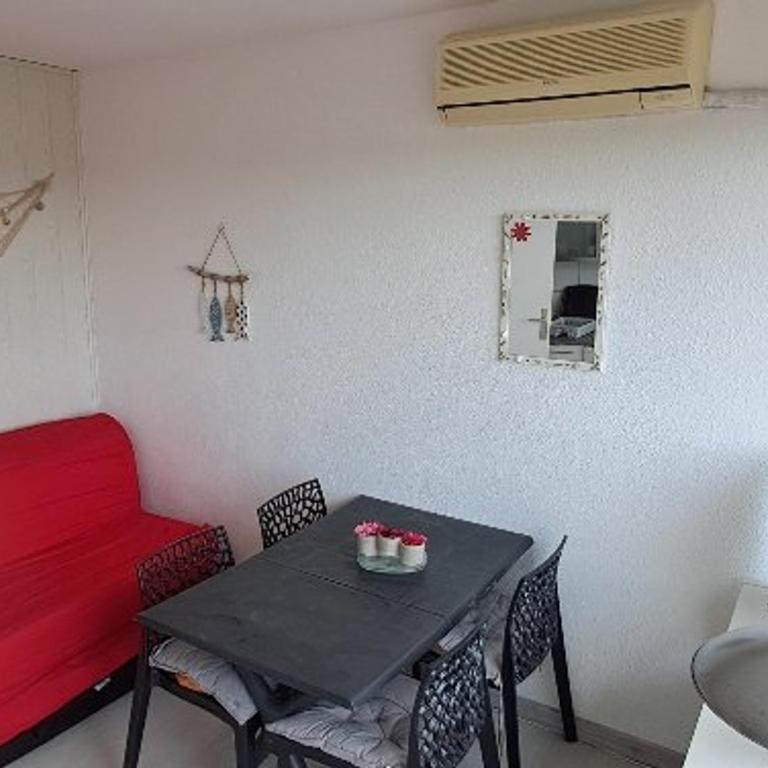 Studio cabine climatisé, piscine, parking, animaux admis, 350m plage - FR-1-250-62 - Apartment - 16