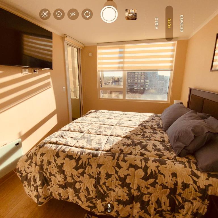 Arriendo 1 Departamento Diario Amoblado en Pleno Centro de Osorno Full Electrico y estacionamiento, comodidad y seguridad - Apartamento de 1 dormitorio - 28