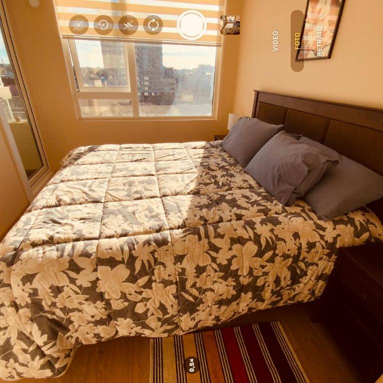 Arriendo 1 Departamento Diario Amoblado en Pleno Centro de Osorno Full Electrico y estacionamiento, comodidad y seguridad - Apartamento de 1 dormitorio - 31