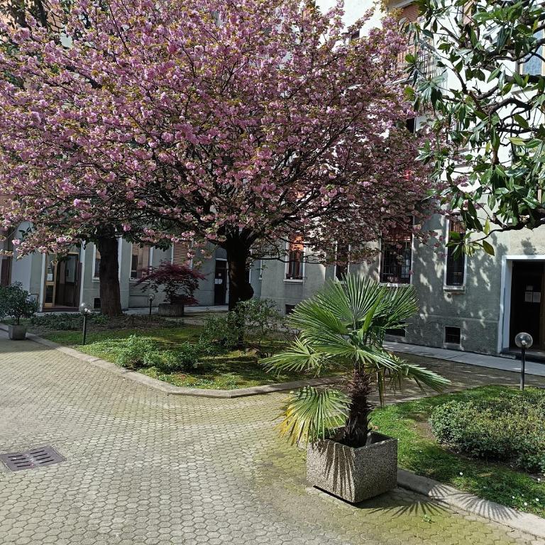 B&B Milano Criste - Appartamento con 1 Camera da Letto - 13