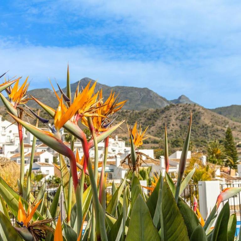 New apartment with Sea View, Big Terrace & Pools - Apartamento de 2 dormitorios con terraza y vistas al mar - 28