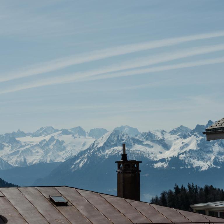 Cosy et calme au coeur de leysin - One-Bedroom Apartment - 30