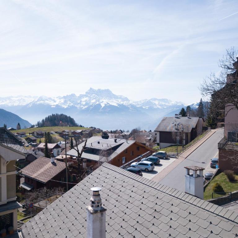 Cosy et calme au coeur de leysin - One-Bedroom Apartment - 40