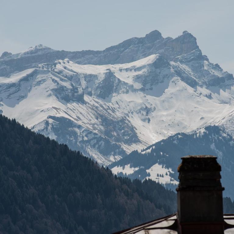 Cosy et calme au coeur de leysin - One-Bedroom Apartment - 11
