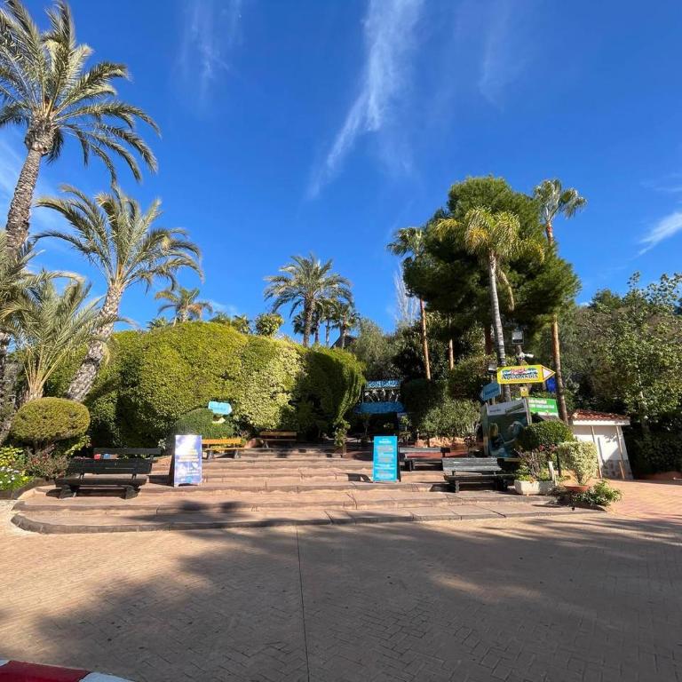 Edificio Cadiz Benidorm - Two-Bedroom Apartment with Terrace - 42