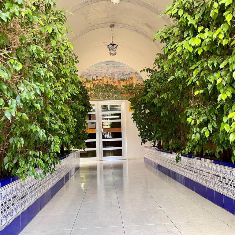 Edificio Cadiz Benidorm - Two-Bedroom Apartment with Terrace - 36