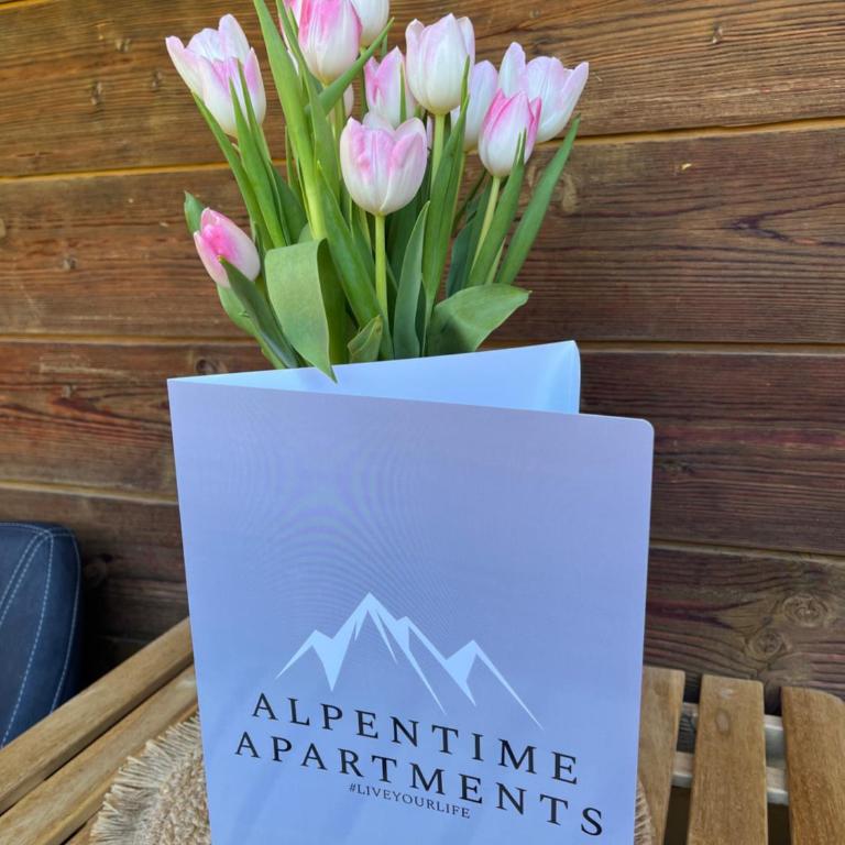 Alpentime Apartments - Apartment mit Blick auf die Berge - 16