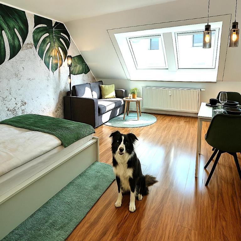 HOMELY STAY Serenity Greens - Stylisch Studio-Apartment with kitchen - 15 min from Central Station-pet friendly - Apartamento - 2