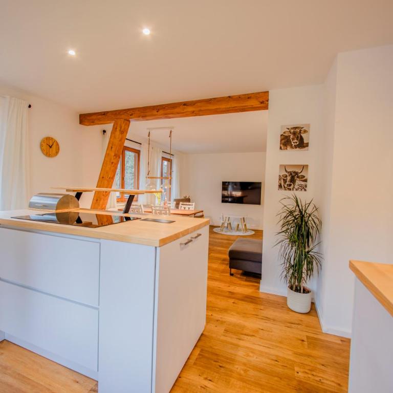 Ferienhaus am Berg - Apartment mit 2 Schlafzimmern und Balkon - 20