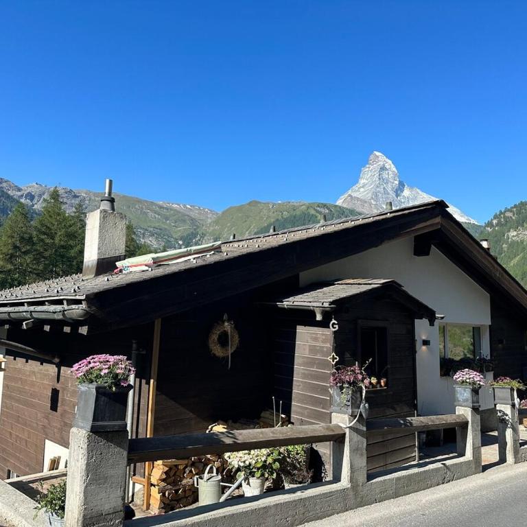 Studio with Matterhorn view - Apartamento de 1 dormitorio - 15