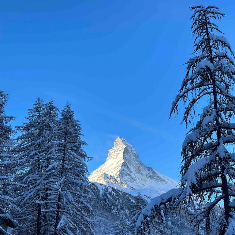 Studio with Matterhorn view - Apartamento de 1 dormitorio - 20