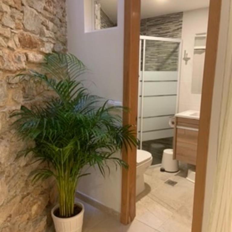 Cozy Apartment by the Sea - Apartamento de 1 dormitorio - 7