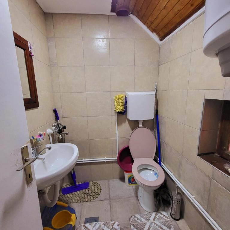 Smestaj Bojanine Vode - Two-Bedroom Apartment - 14