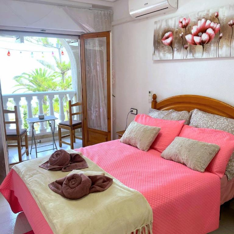 Pritty Apartement Gracia Torrevieja - Apartamento de 1 dormitorio - 1