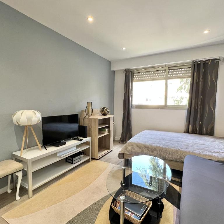 Charming studio near the old port - Cannes - Studio - 1
