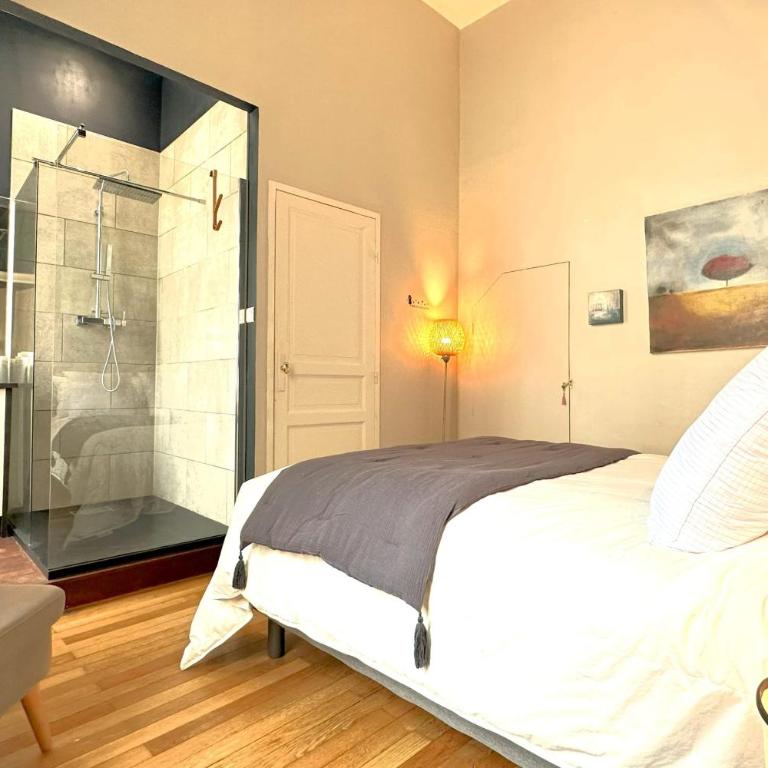 Illustre-Appartement de caractère hypercentre-Balcon - Apartment - 6