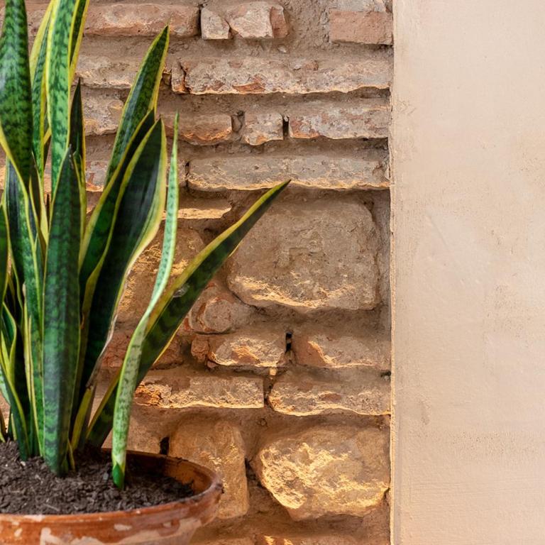 Zarí Apartamentos - Apartamento Deluxe de 2 dormitorios con vistas al jardín - 20