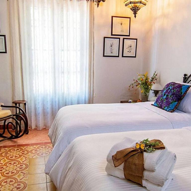 2BR composer's historic casa Private pool Downtown - Apartment - 35