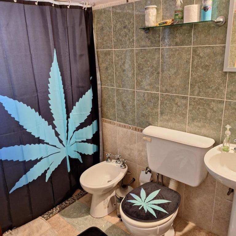 La Preciosa - Apartamento de 1 dormitorio - 6