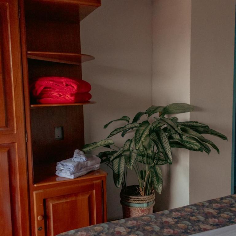 Hotel Casa Encanto Jardín - Triple Room - 3