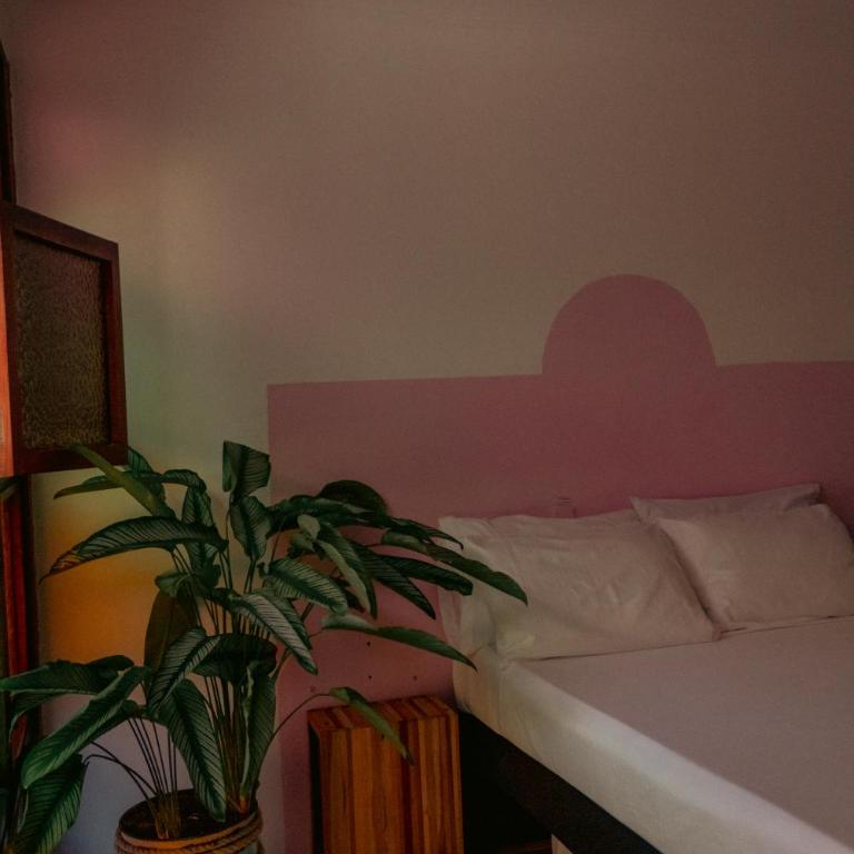 Hotel Casa Encanto Jardín - Superior Double Room - 4