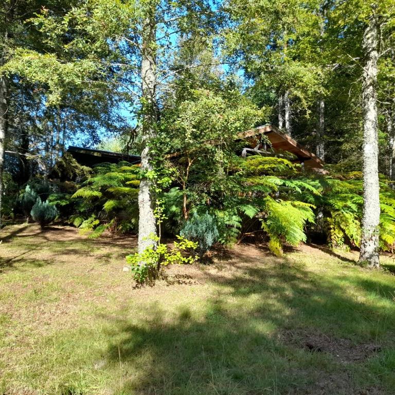 Relun L - Chalet de 2 dormitorios - 28