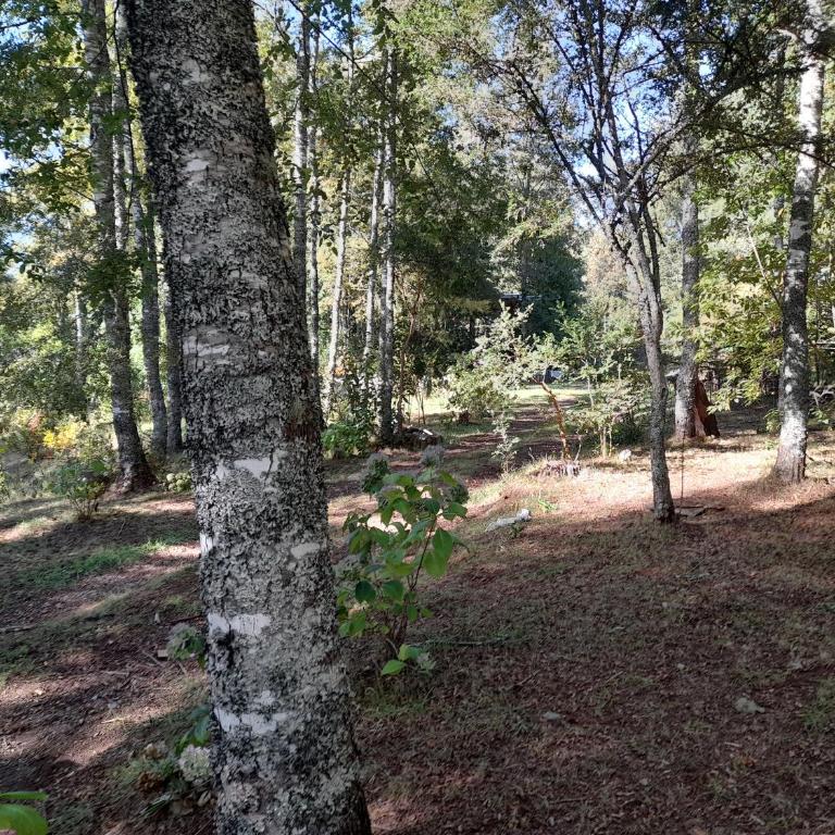 Relun L - Chalet de 2 dormitorios - 24