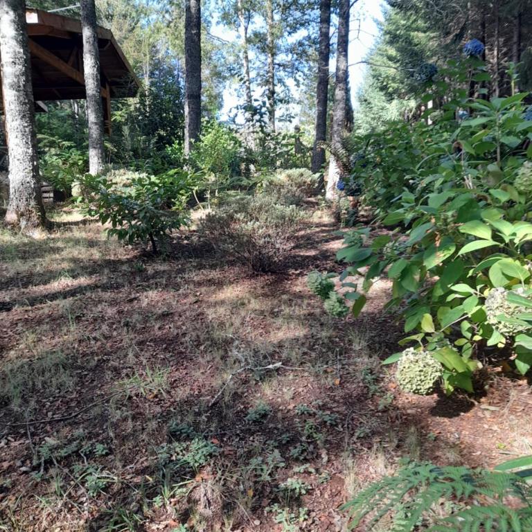 Relun L - Chalet de 2 dormitorios - 43