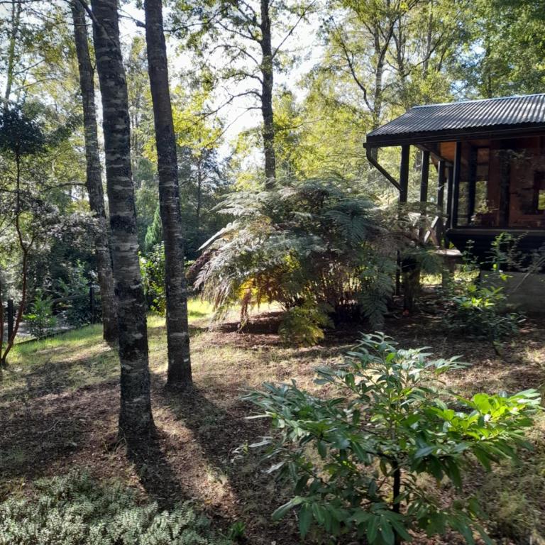 Relun L - Chalet de 2 dormitorios - 48