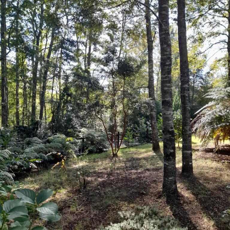 Relun L - Chalet de 2 dormitorios - 44