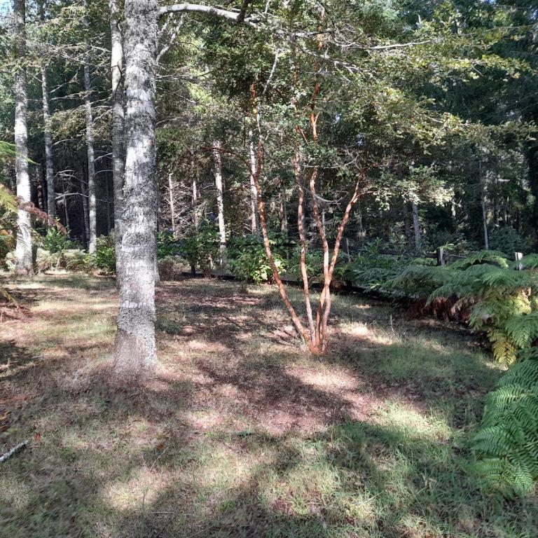 Relun L - Chalet de 2 dormitorios - 52