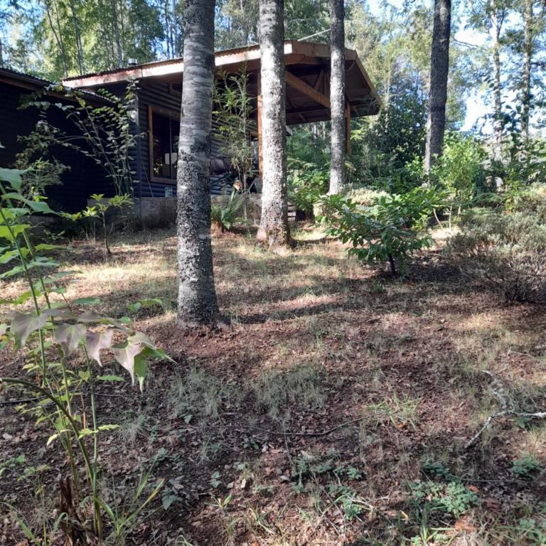 Relun L - Chalet de 2 dormitorios - 51