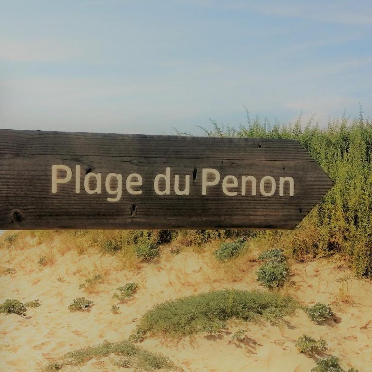 Studio bord de plage Seignosse, loggia ouest - Apartamento de 1 dormitorio - 17
