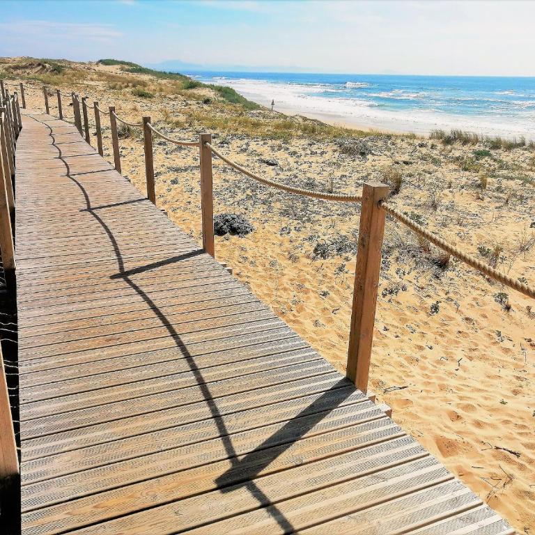 Studio bord de plage Seignosse, loggia ouest - Apartamento de 1 dormitorio - 20