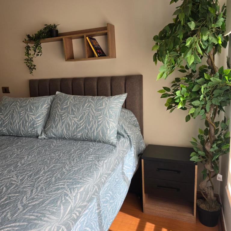 PROVIDENCIA Excelente Ubicación Comodidad y Parcking - Apartamento de 2 dormitorios - 5