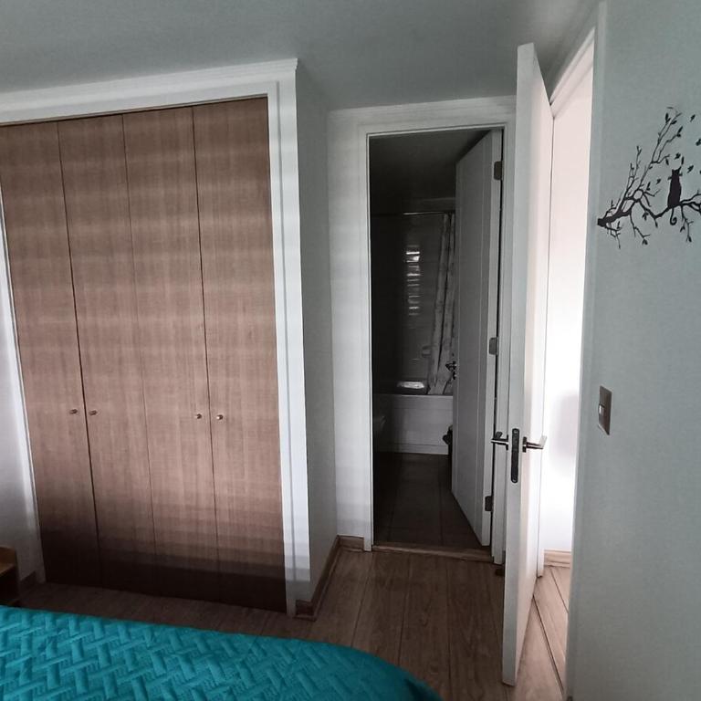 Depto tipo mariposa cercano a estación Irarrázabal, Barrio Italia, clinicas a 10 minutos del centro de santiago - Apartamento - 14
