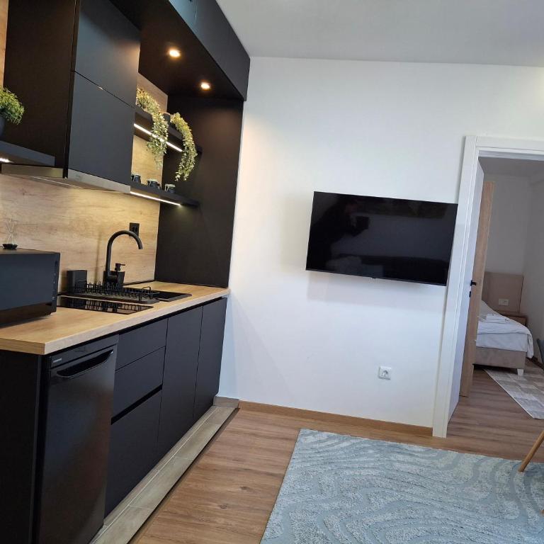 President kop APP Katarina II - One-Bedroom Apartment - 9