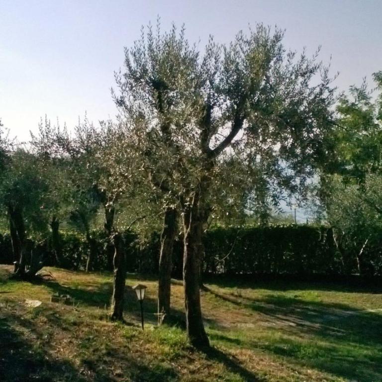 Antico Fienile Belvedere - Appartamento Superior con 2 Camere da Letto - 90