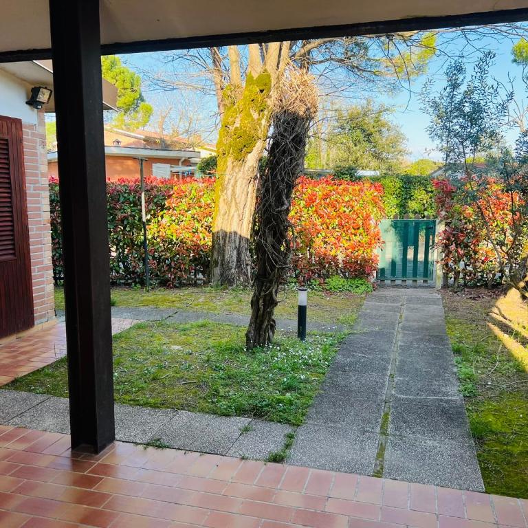 Villa Pinocchia - Casa con 3 Camere da Letto - 13