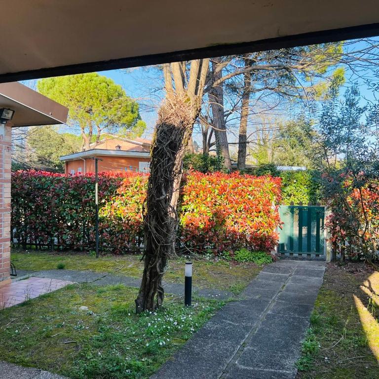 Villa Pinocchia - Casa con 3 Camere da Letto - 14